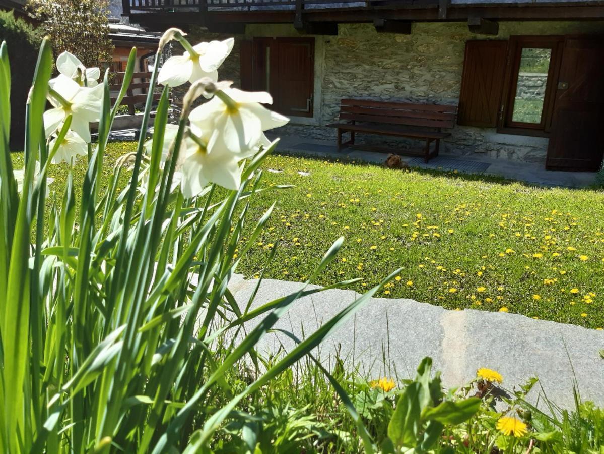 Sauze D'Oulx Ciabot La Garituela With Garden - Wifi- Close To The Chairlift Exterior photo